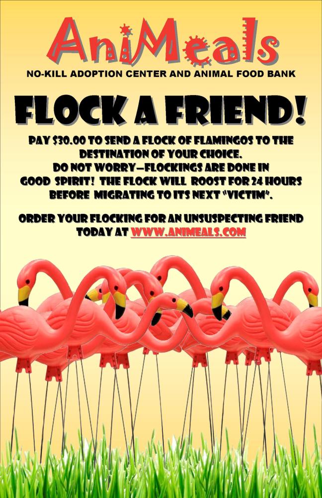 Flock a Friend Poster 7-6-11